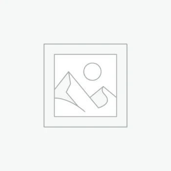 Sport Running Sneakers